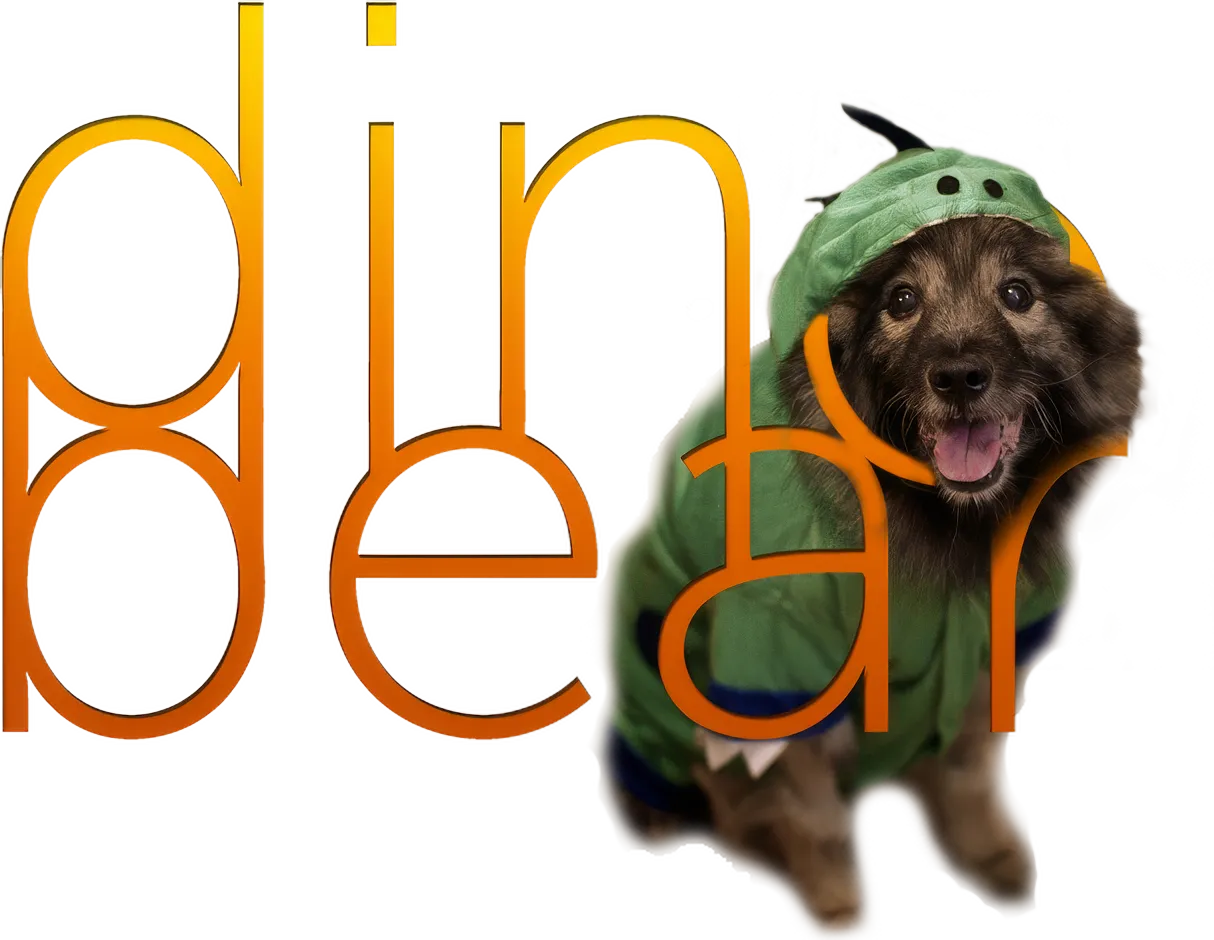 Dinobear dog